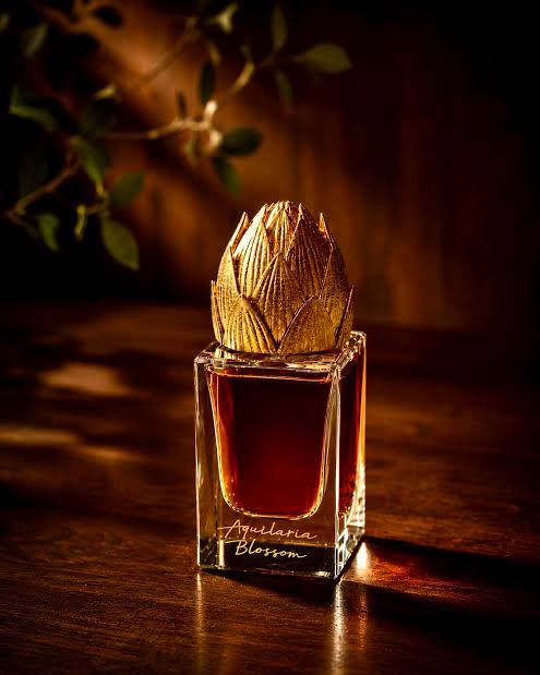 Areej le dore Aquilaria Blossom 30 ml
