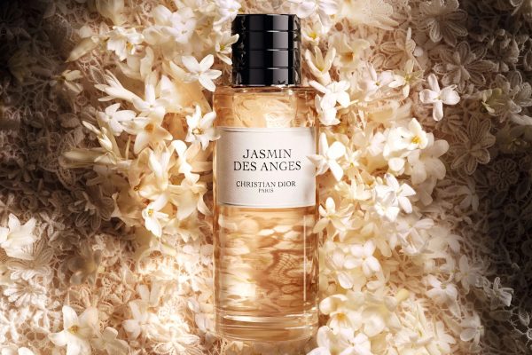 Jasmin Des Anges Jasmin Des